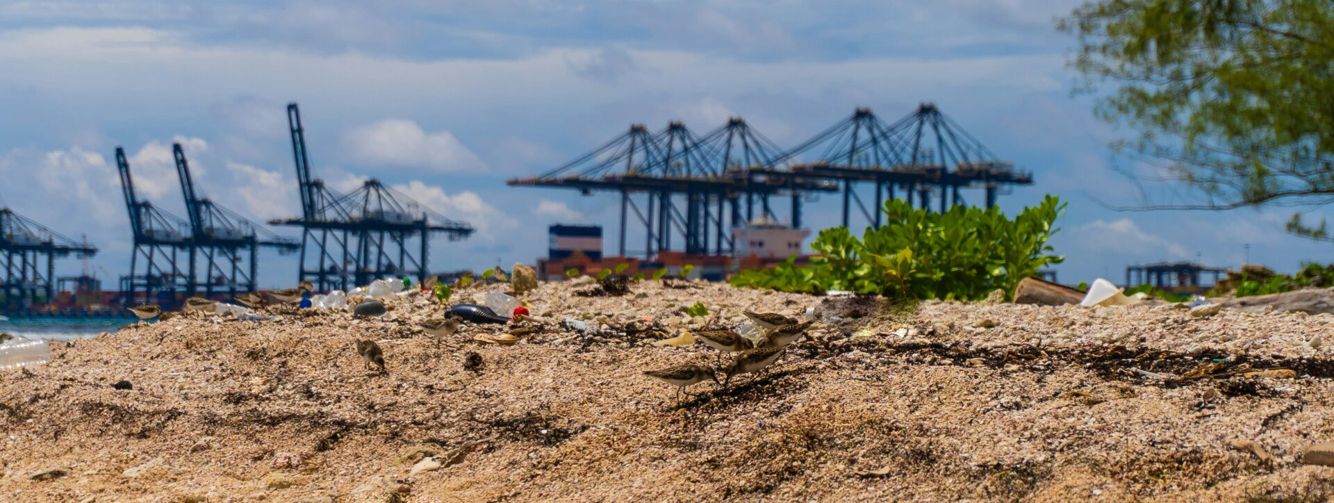 miguelphoto-3p1Jhgf6qUs-unsplash