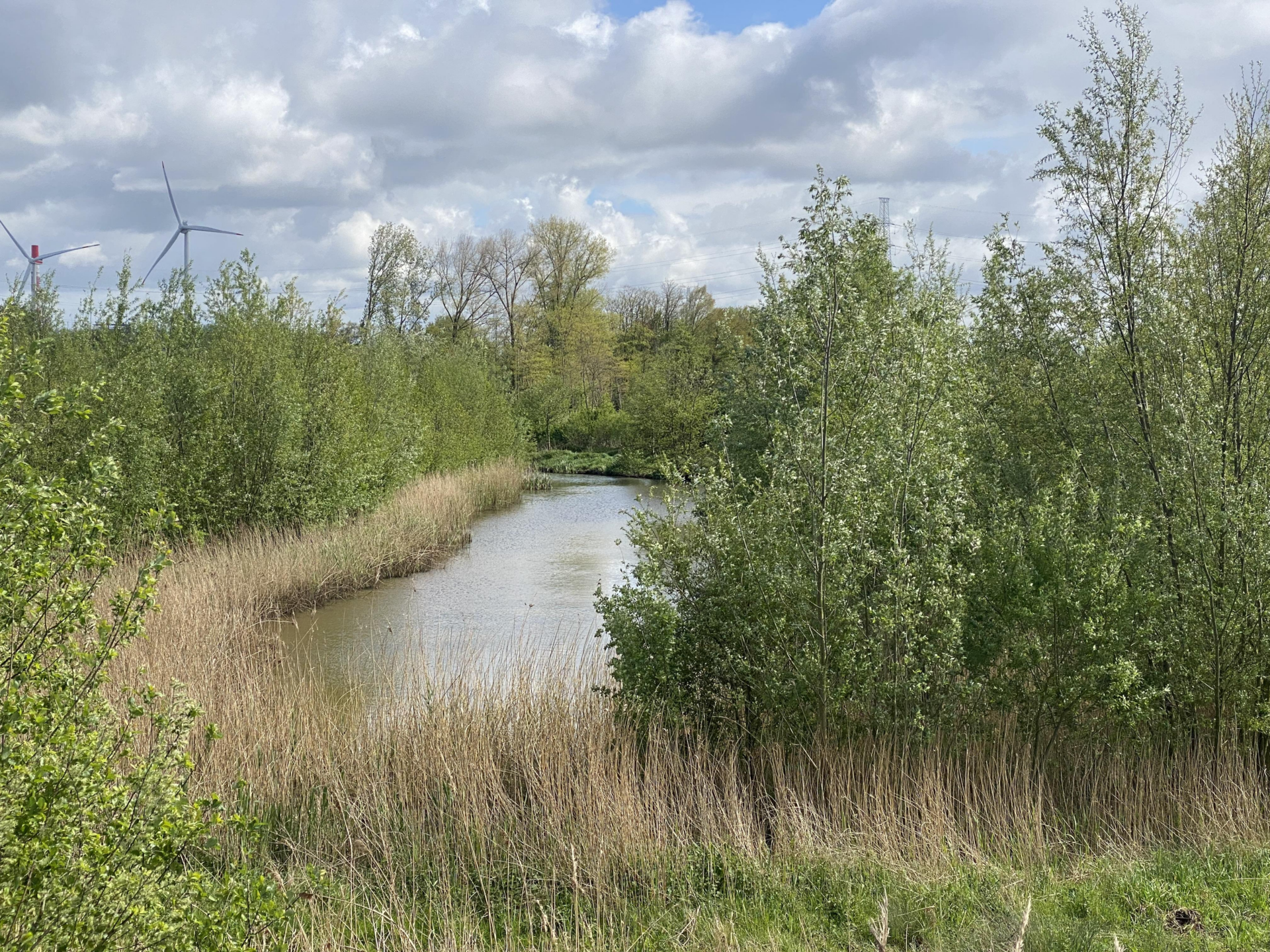 JUIST IMG_7773_onder5MB.jpg